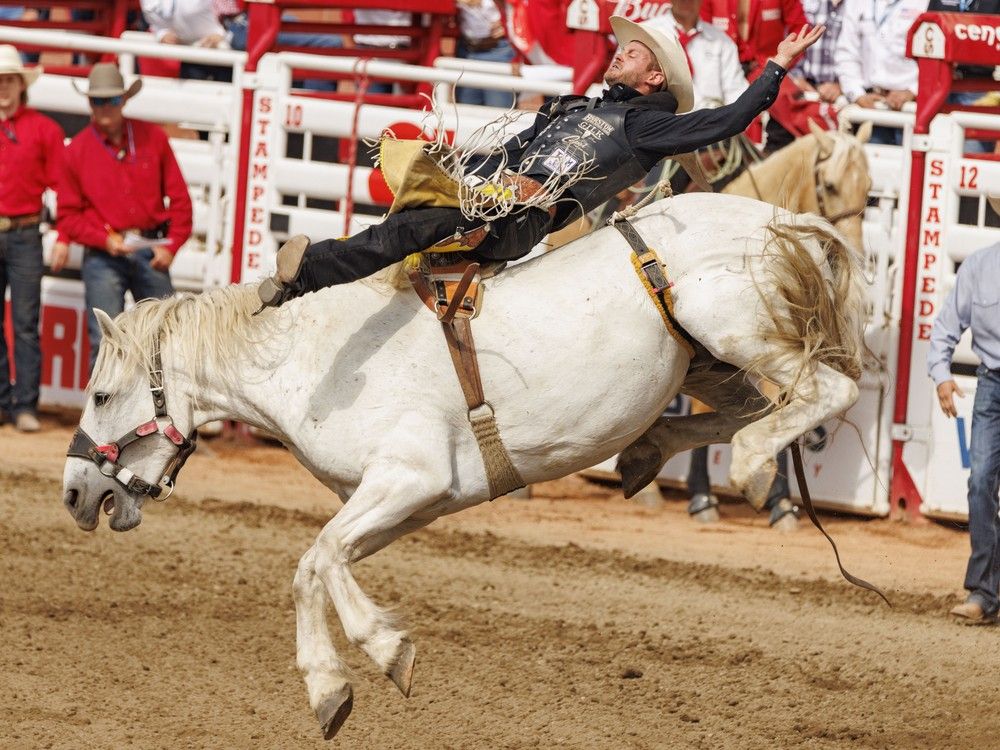 chase dougherty 0035