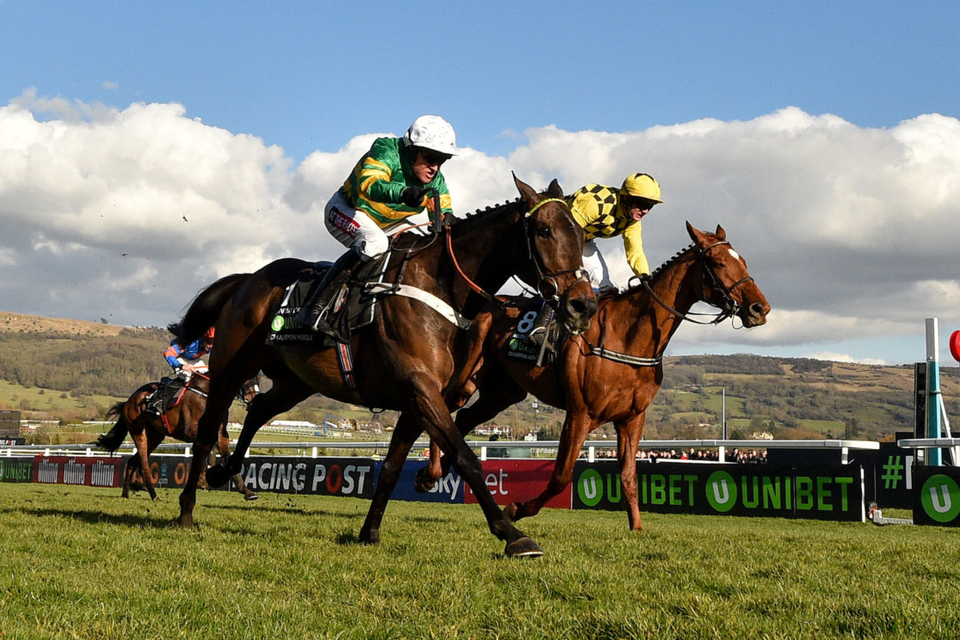 cheltenham 2019 0012