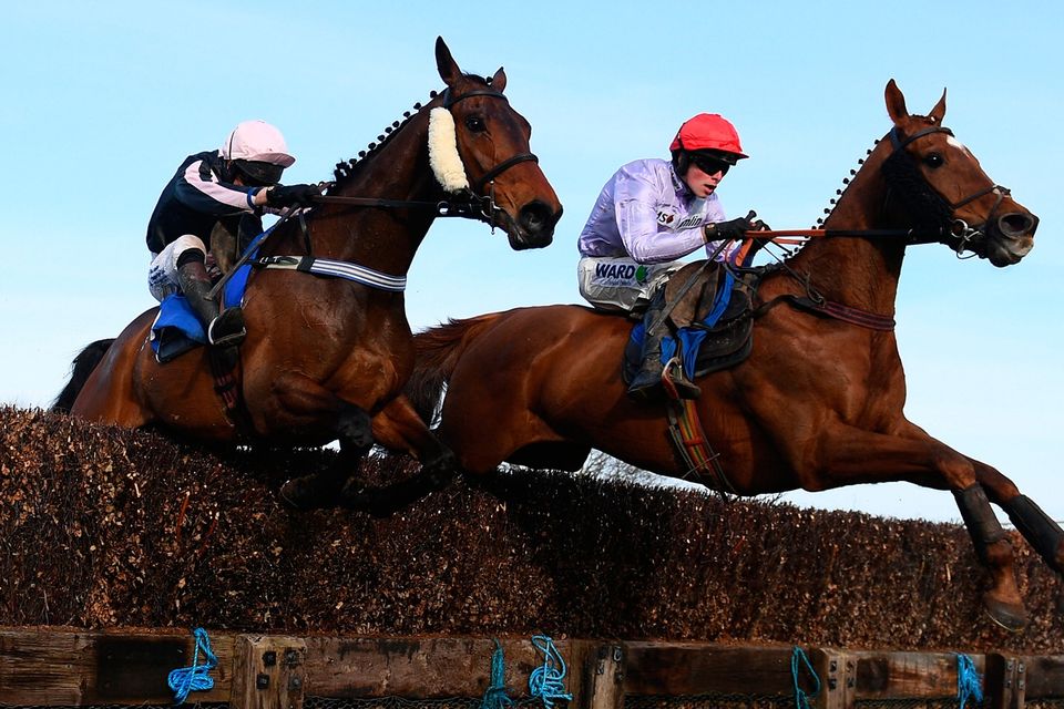 cheltenham 2019 0022
