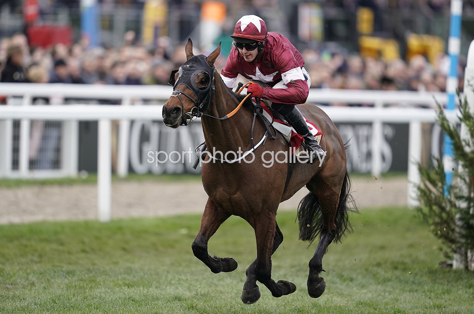 cheltenham 2019 0023