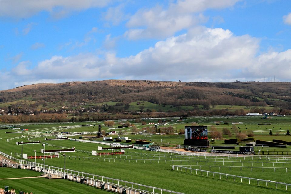 cheltenham 2019 0026