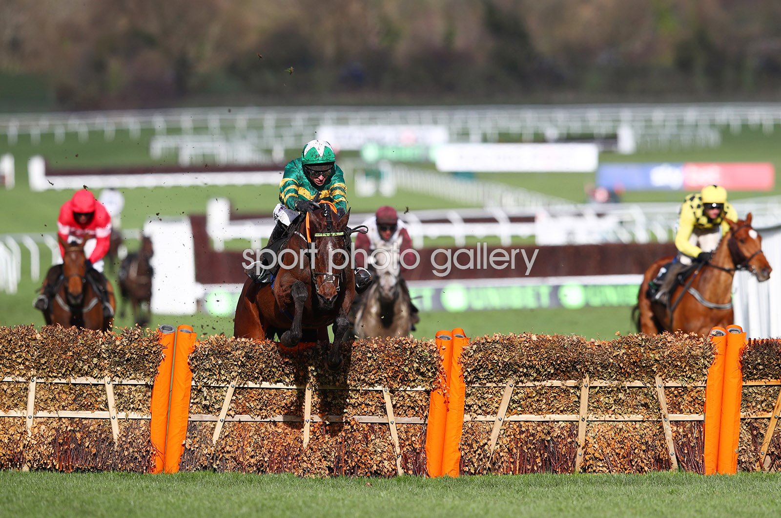 cheltenham 2019 0027