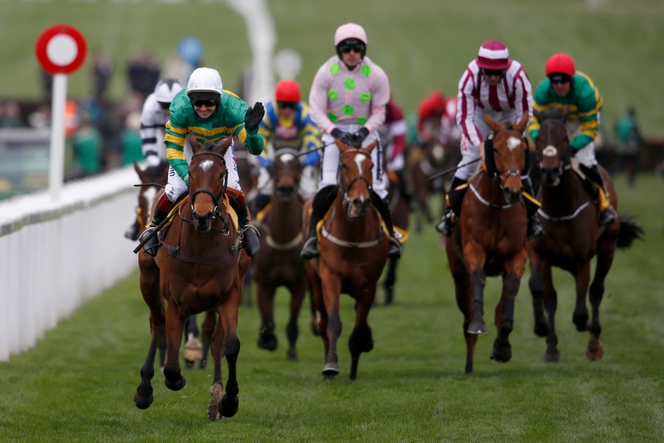 cheltenham 2019 0035