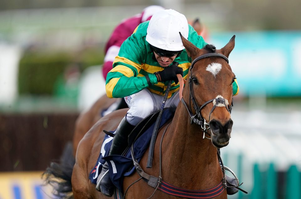 cheltenham 2019 0044