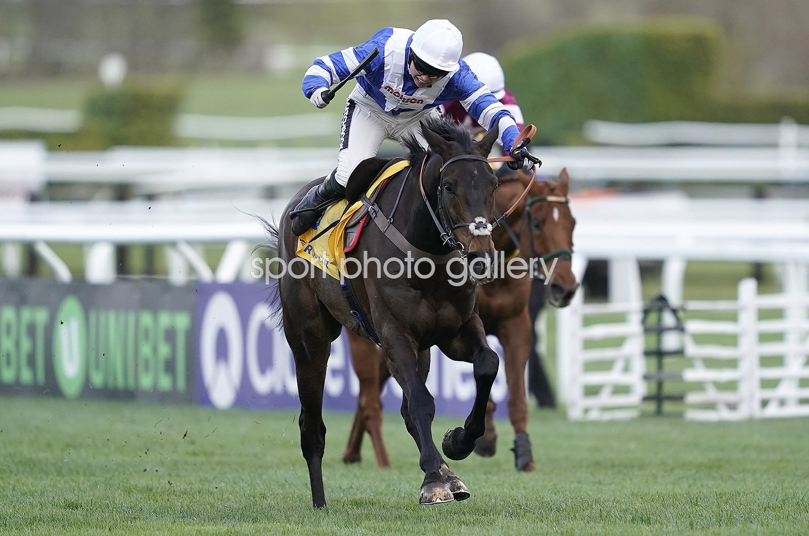 cheltenham 2019 0048