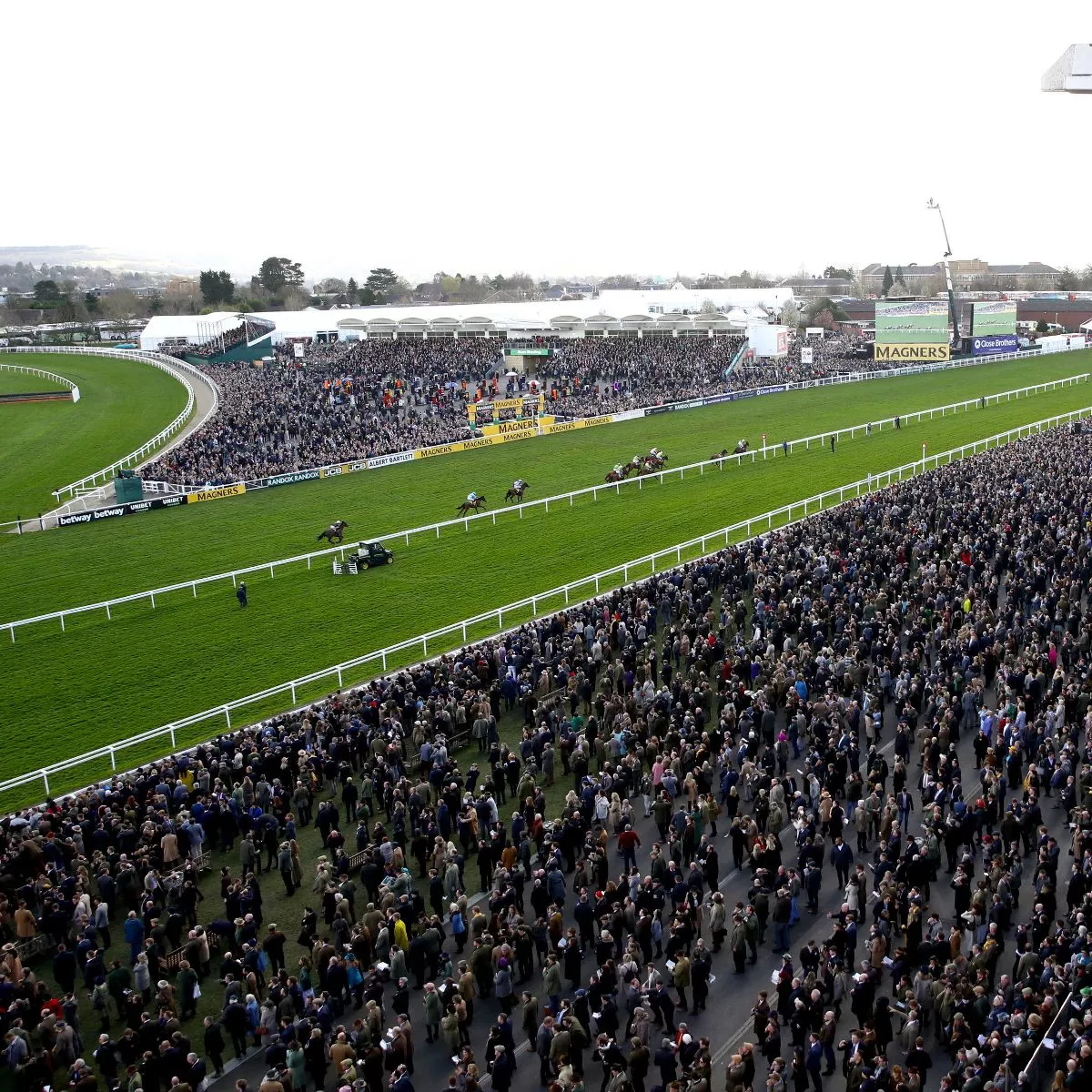 cheltenham 2023 0049