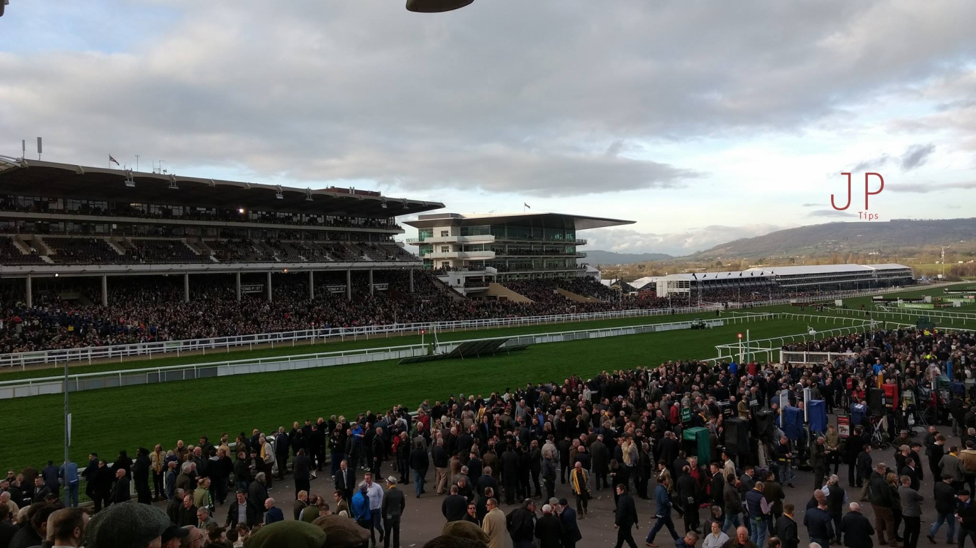 Cheltenham betting
