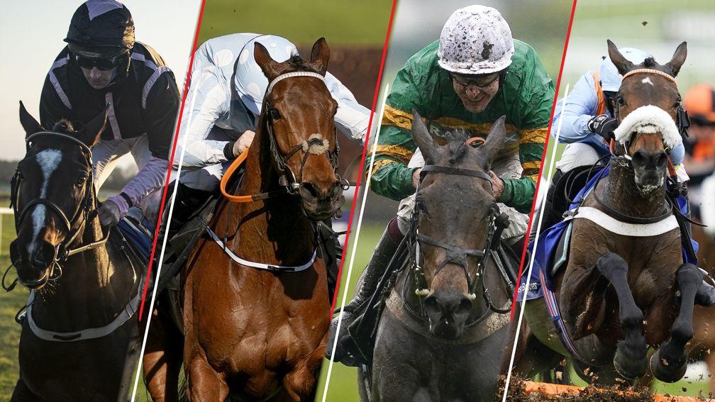 cheltenham festival 2023 racecards 0010