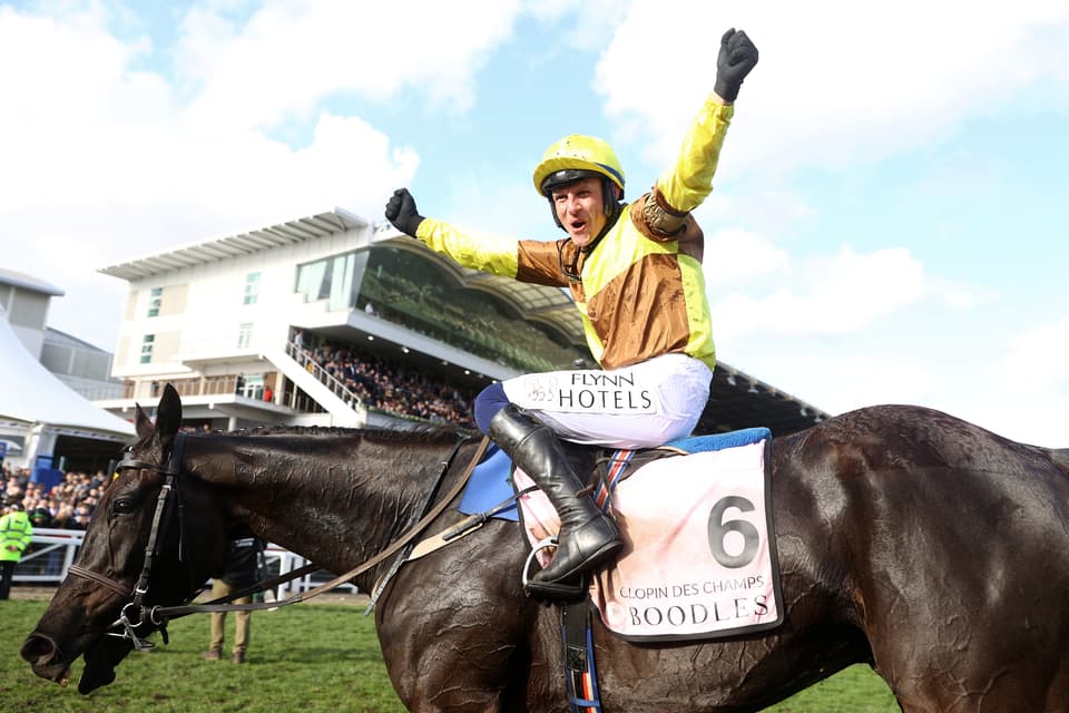 cheltenham festival 2023 racecards 0012
