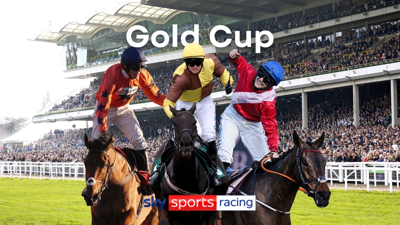 cheltenham festival 2023 racecards 0013