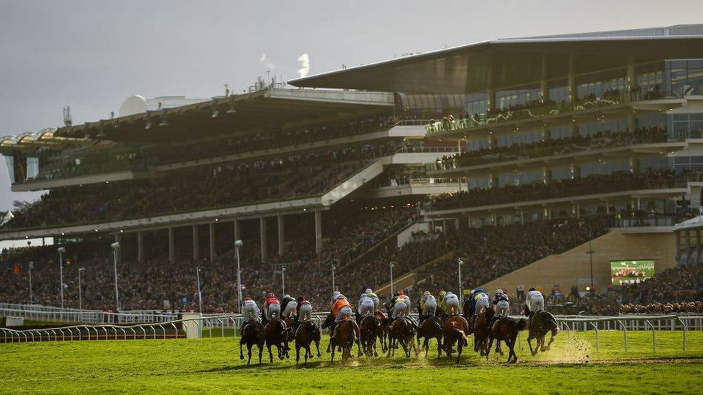 cheltenham festival 2023 racecards 0015