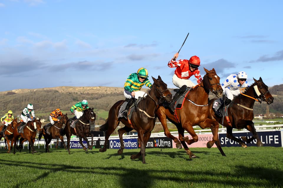 cheltenham festival 2023 racecards 0016