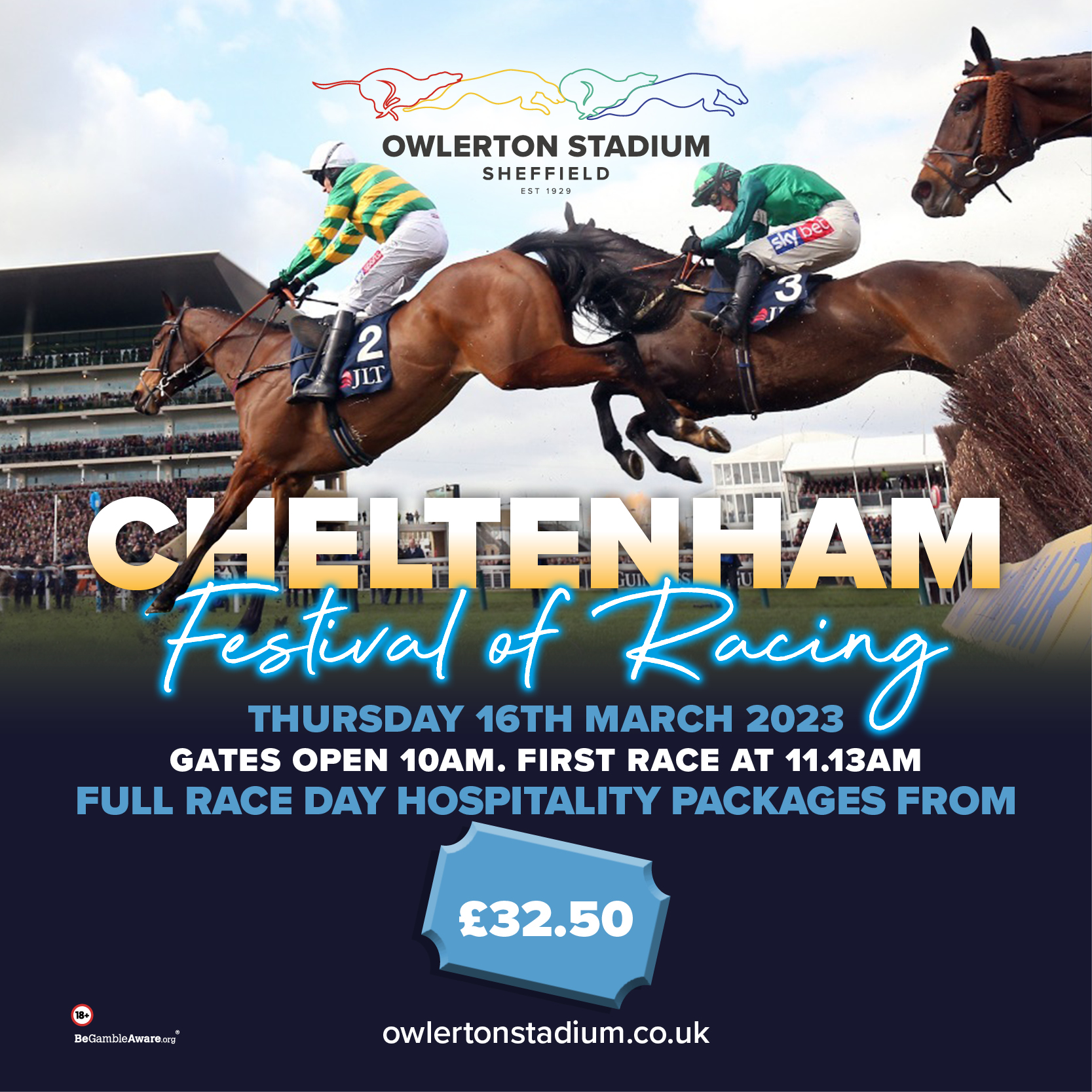 cheltenham festival 2023 racecards 0017