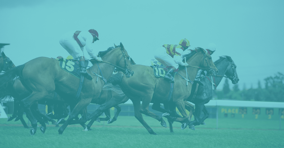 cheltenham festival 2023 racecards 0018