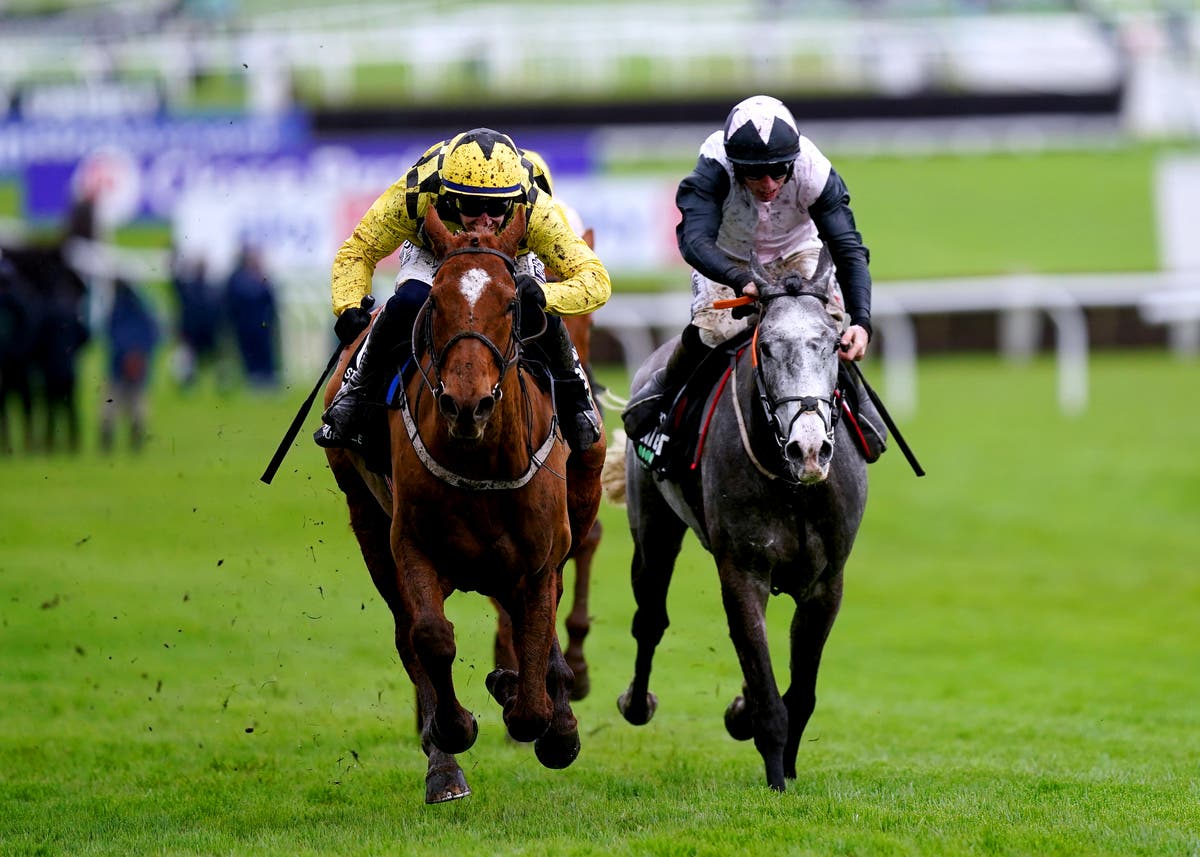 cheltenham festival 2023 racecards 0019