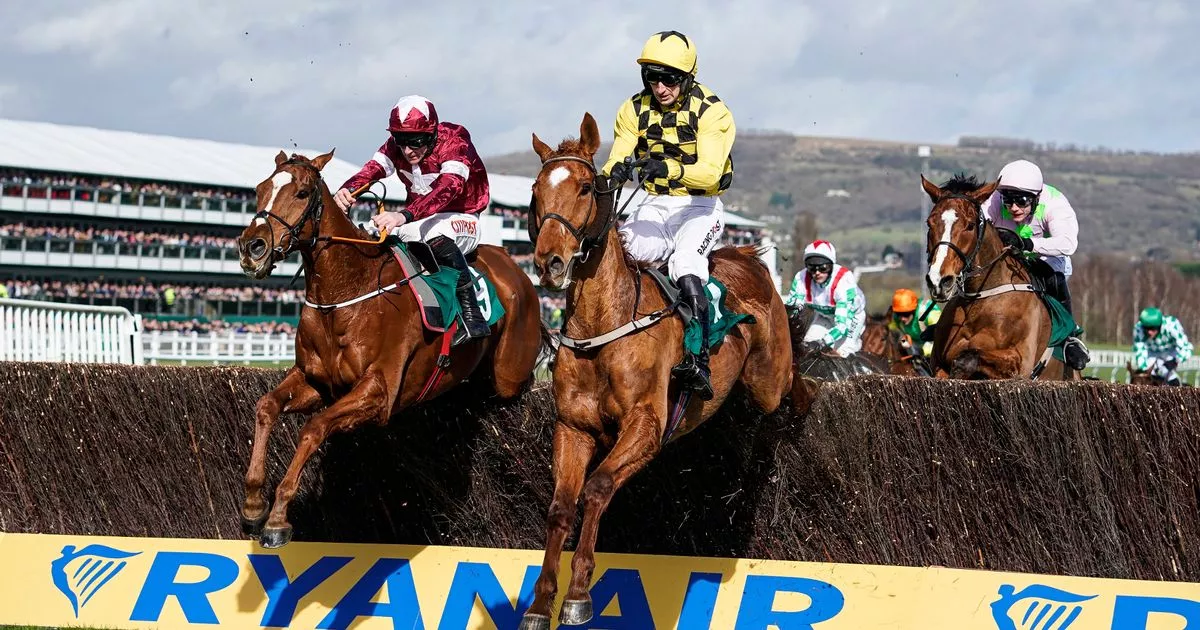 cheltenham festival 2023 racecards 0024