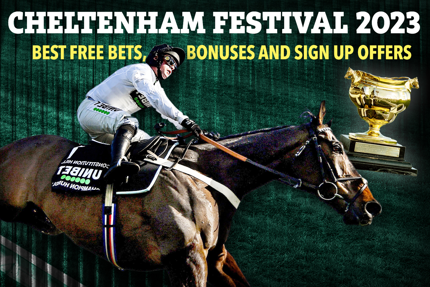 cheltenham festival 2023 racecards 0026