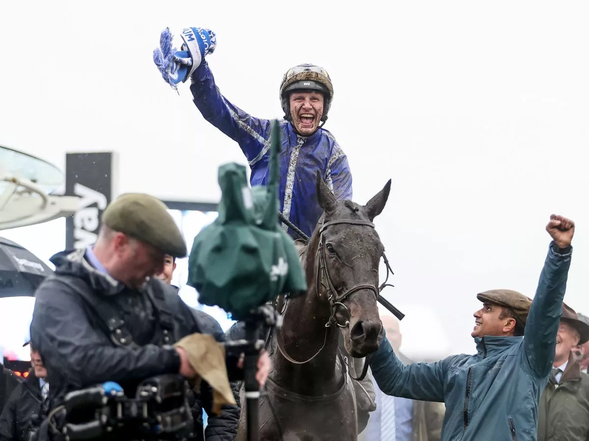 cheltenham festival 2023 racecards 0027