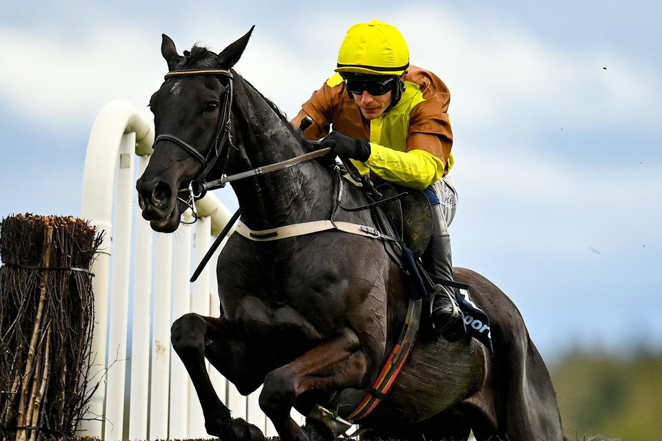 cheltenham festival 2023 racecards 0029