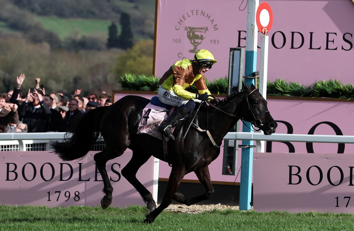 cheltenham festival 2023 racecards 0030