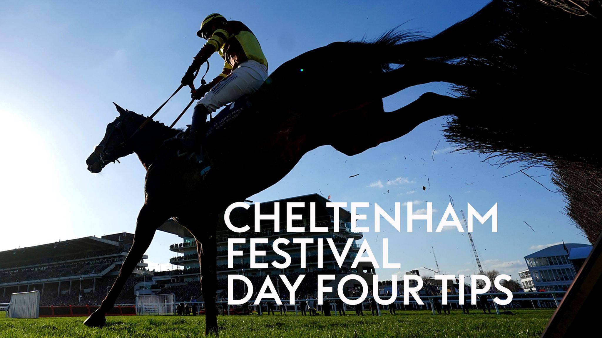 cheltenham festival 2023 racecards 0031