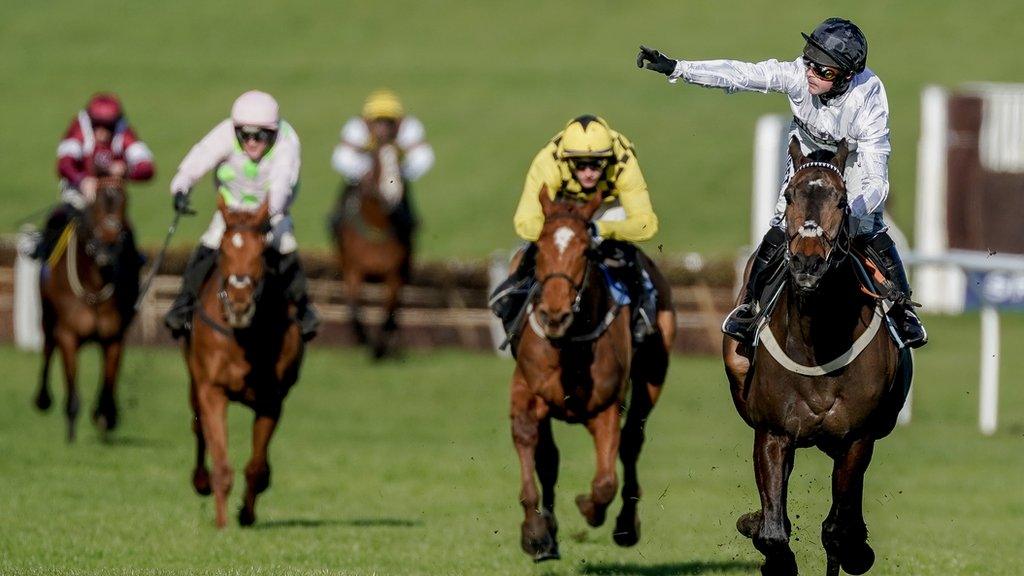 cheltenham festival 2023 racecards 0033