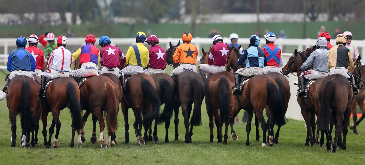 cheltenham festival 2023 racecards 0036