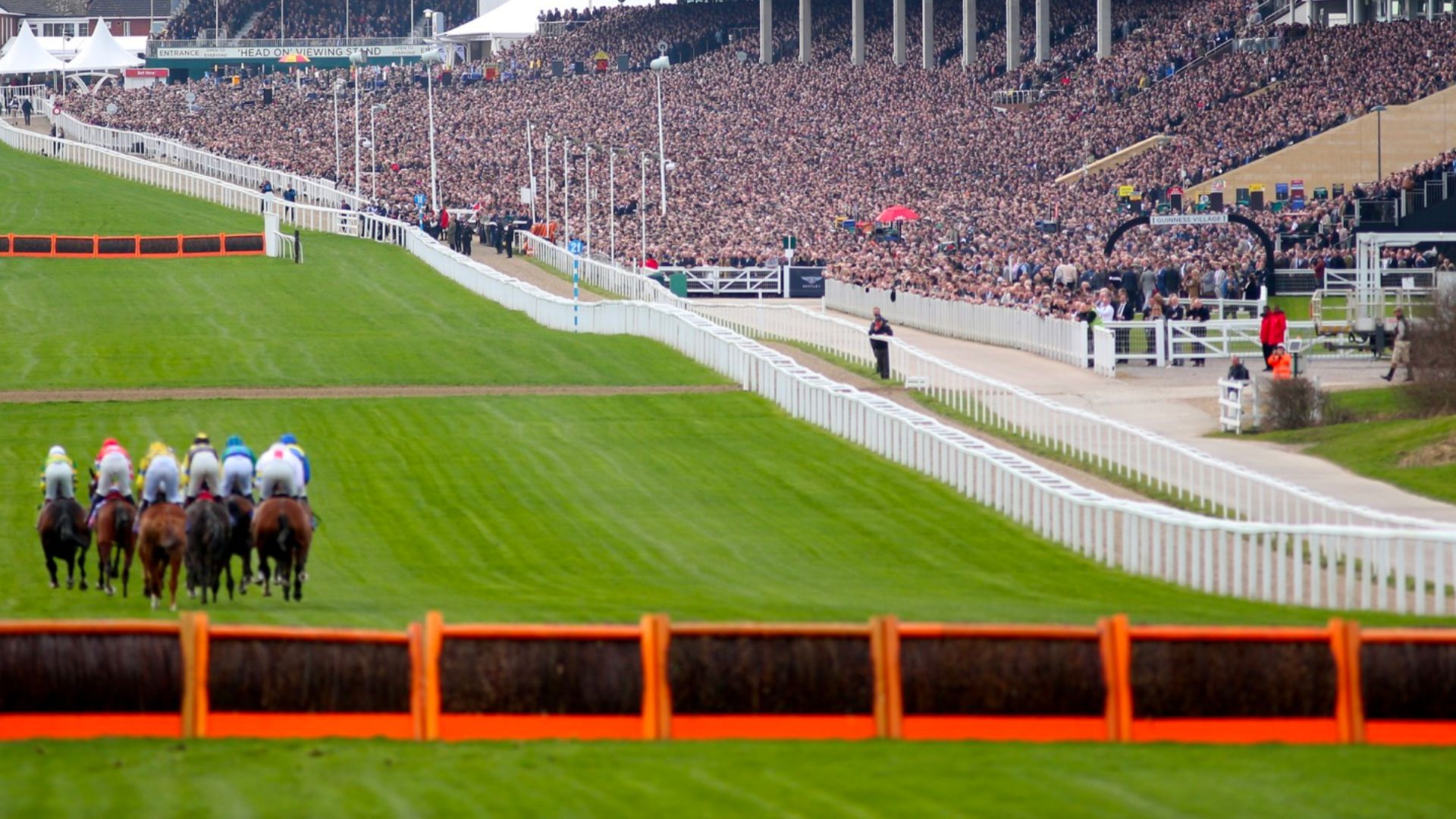 cheltenham festival 2023 racecards 0038