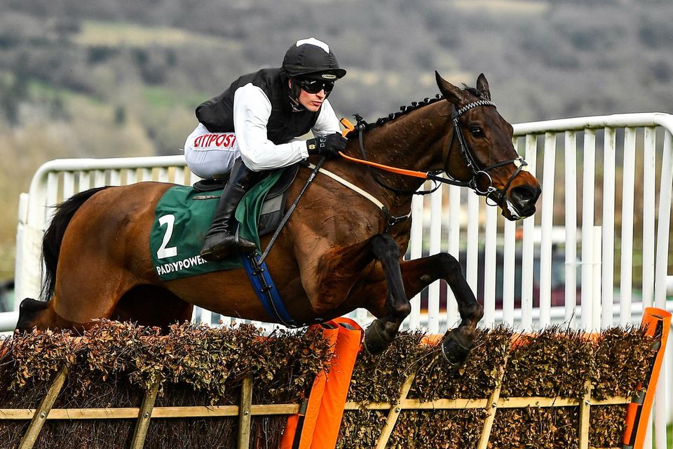 cheltenham festival 2023 racecards 0040