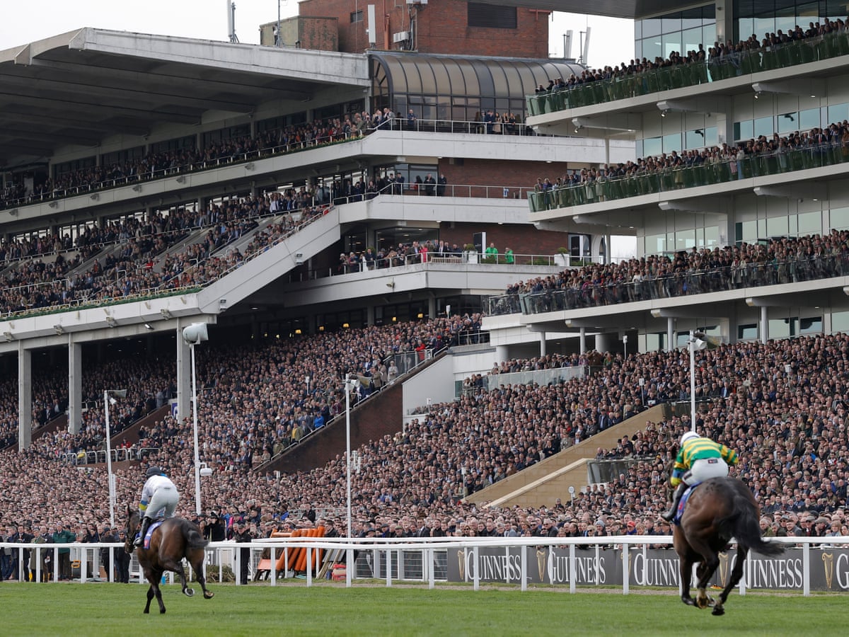 cheltenham festival 2023 racecards 0041