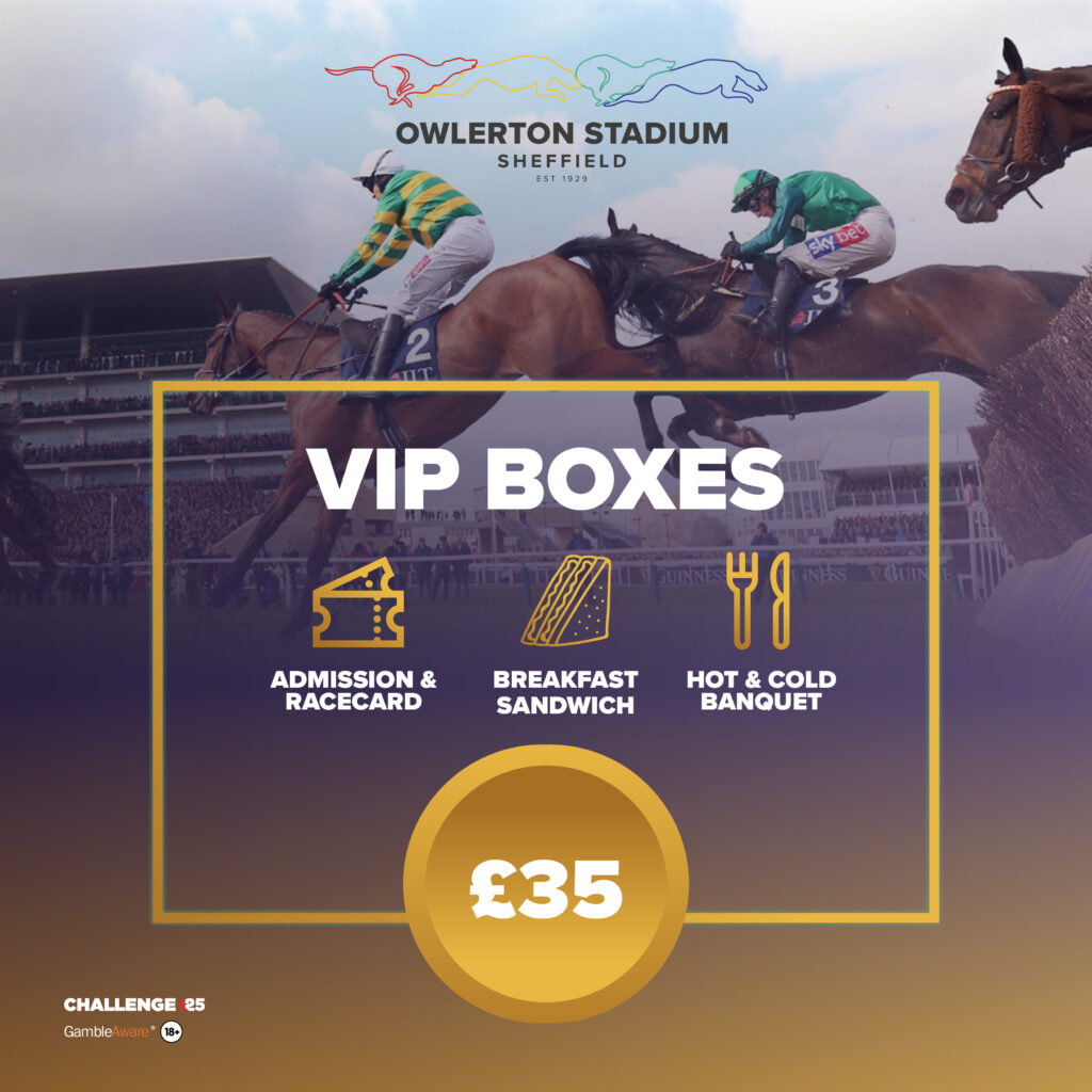 cheltenham festival 2023 racecards 0042