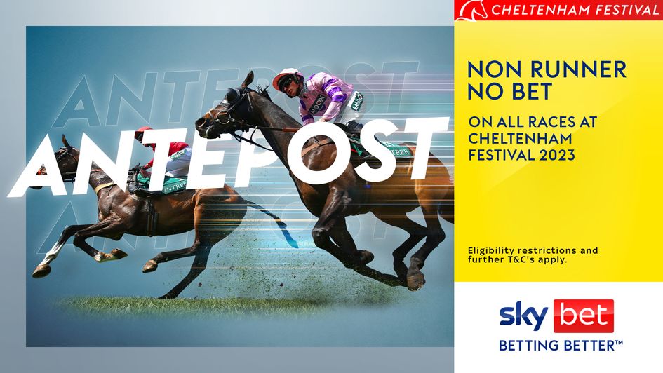 cheltenham festival 2023 racecards 0043