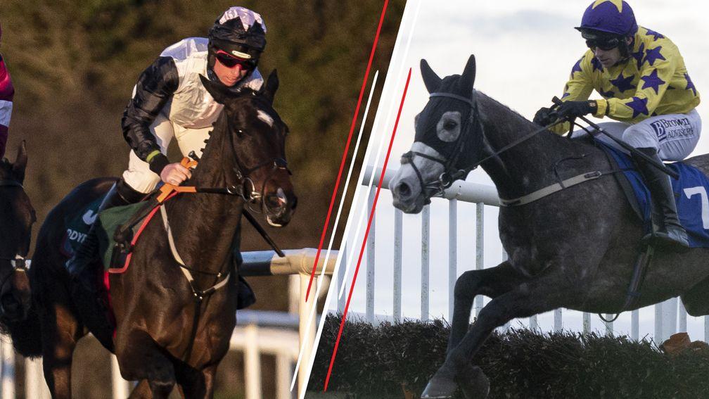 cheltenham festival 2023 racecards 0045