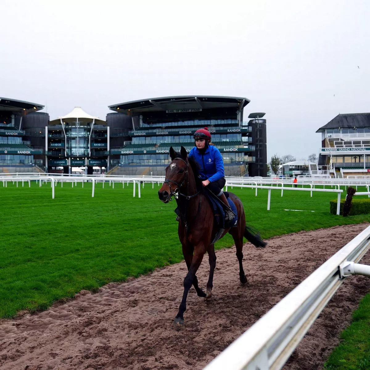 cheltenham festival 2023 racecards 0046