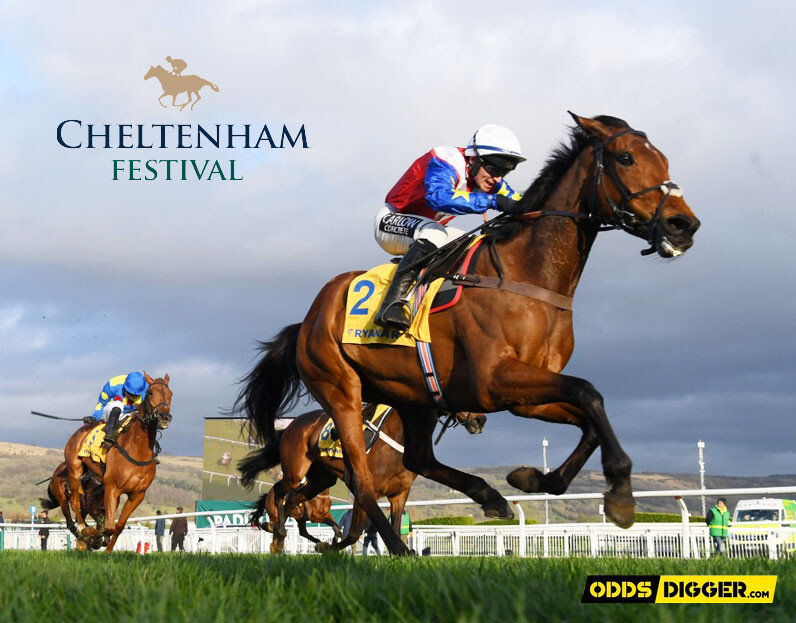 cheltenham 2020