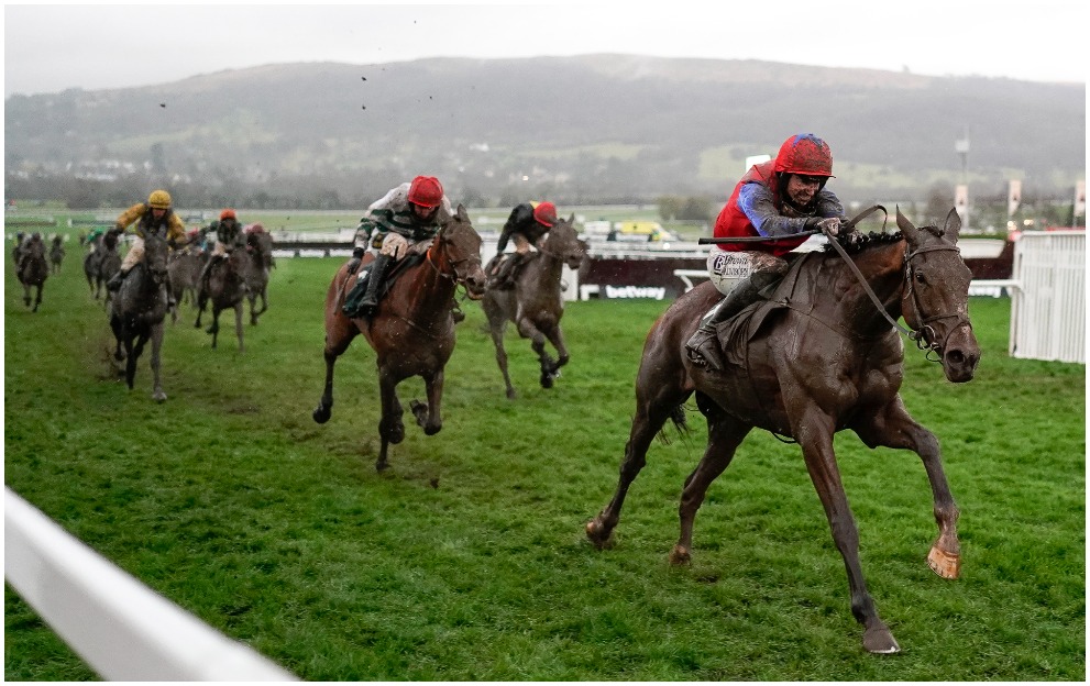 cheltenham 2020