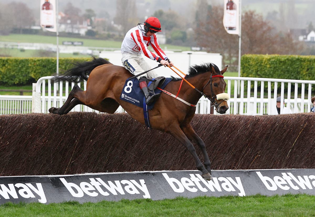 Cheltenham Festival news.