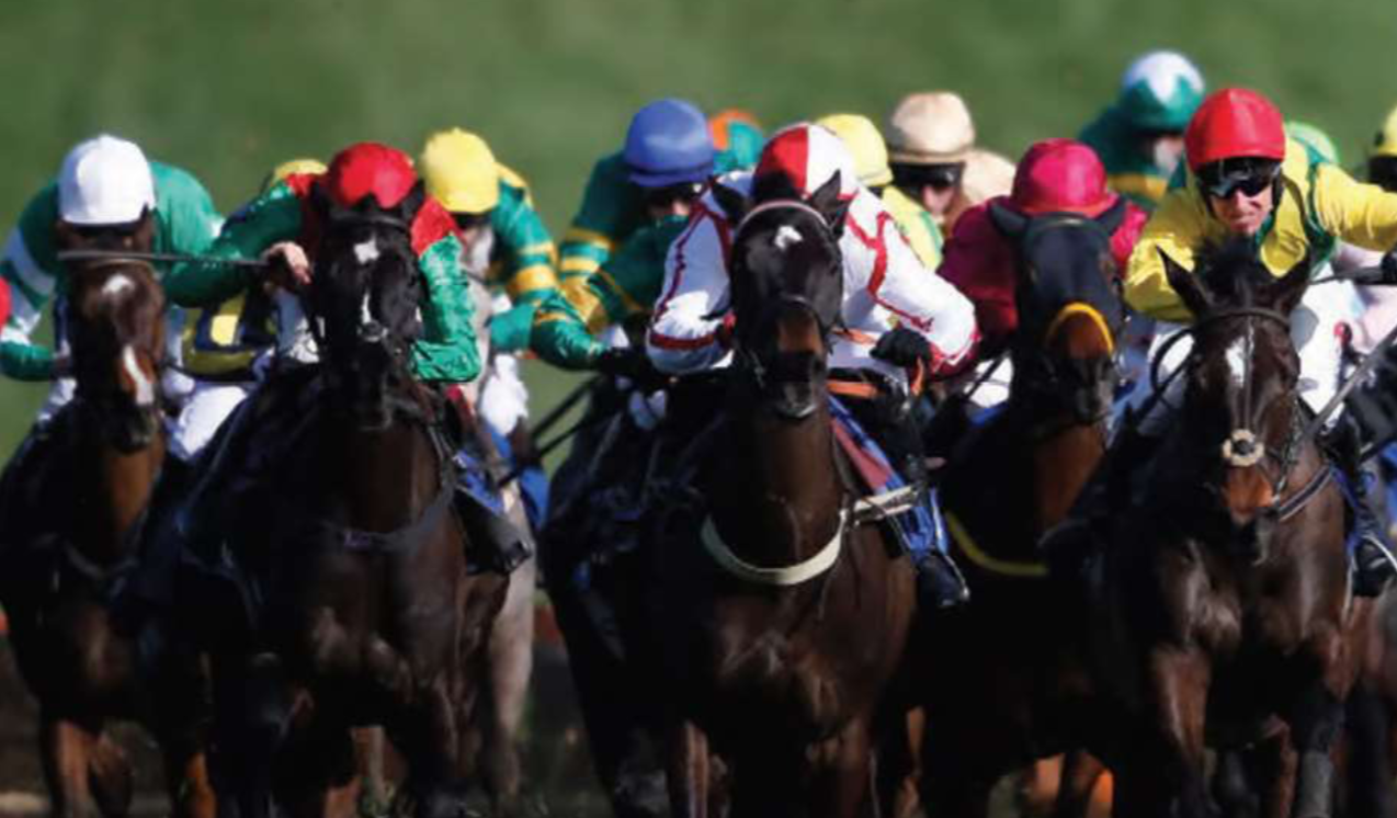 Cheltenham Festival results