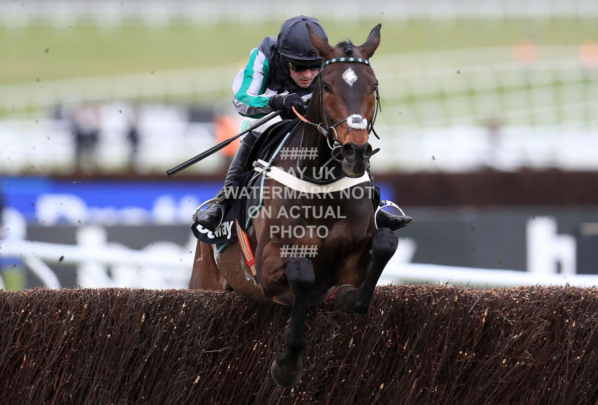 cheltenham 2020