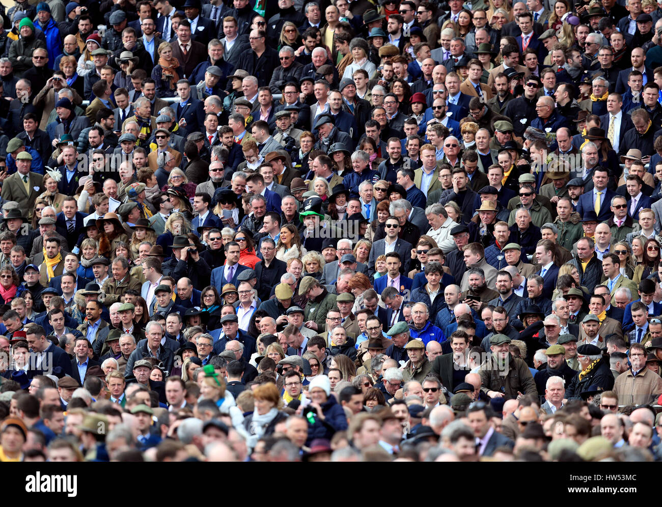 cheltenham 2020 0012