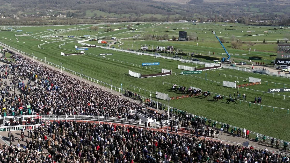 cheltenham 2020 0017
