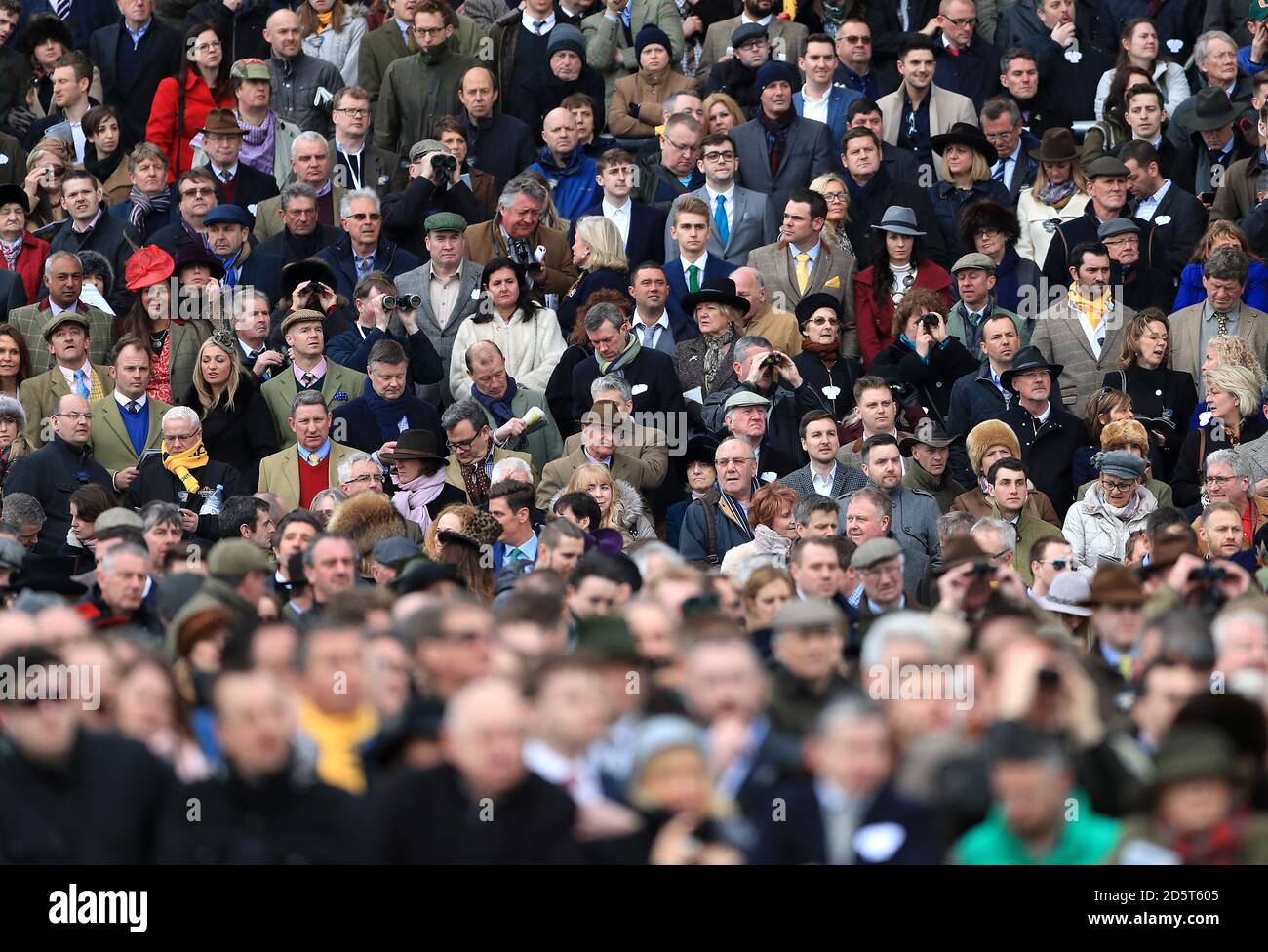 cheltenham 2020 0024