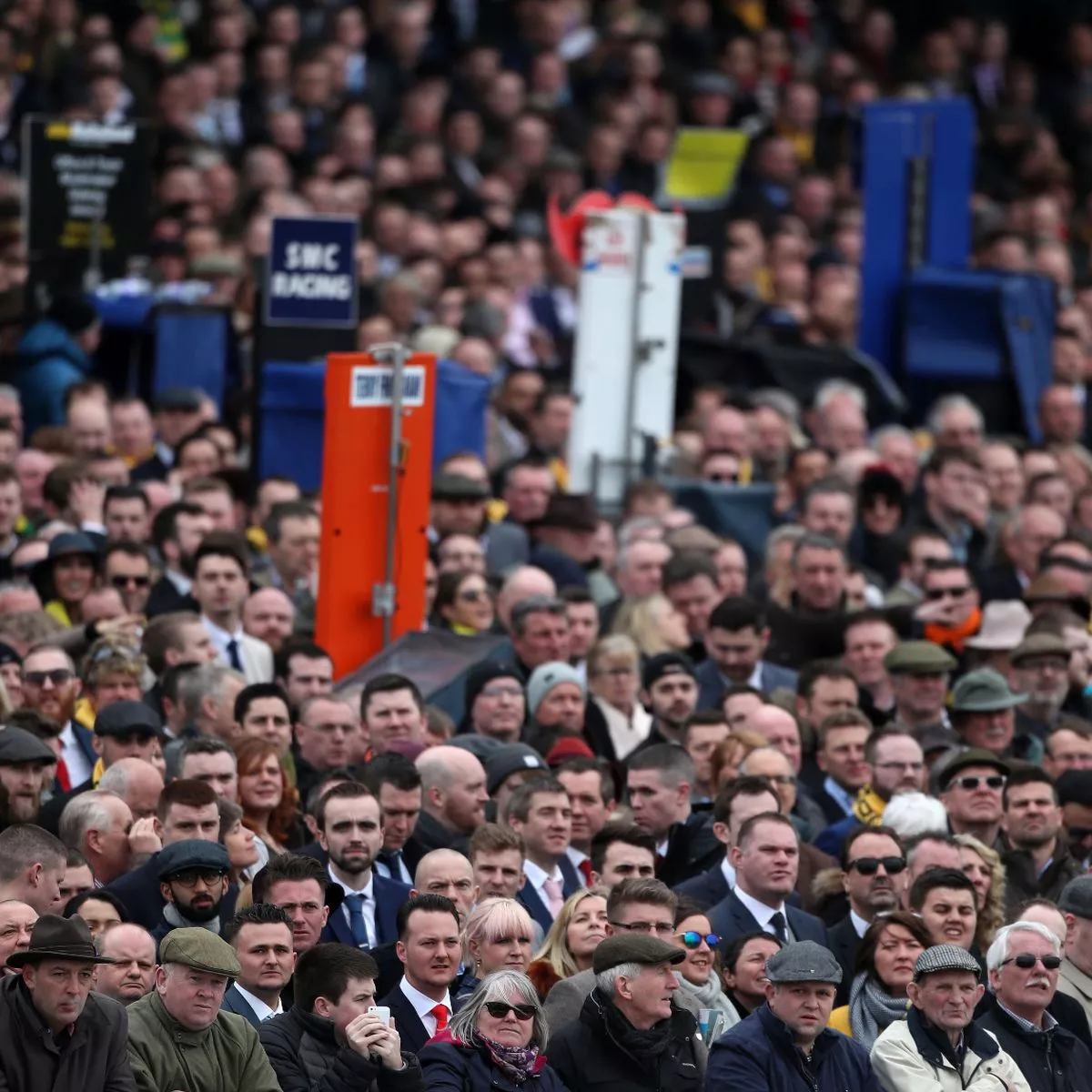 cheltenham 2020 0025