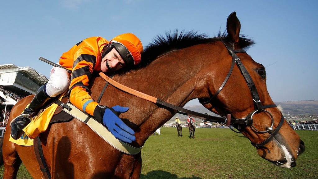 cheltenham 2020 0027