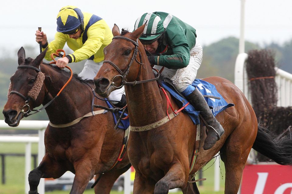 cheltenham 2020 0037