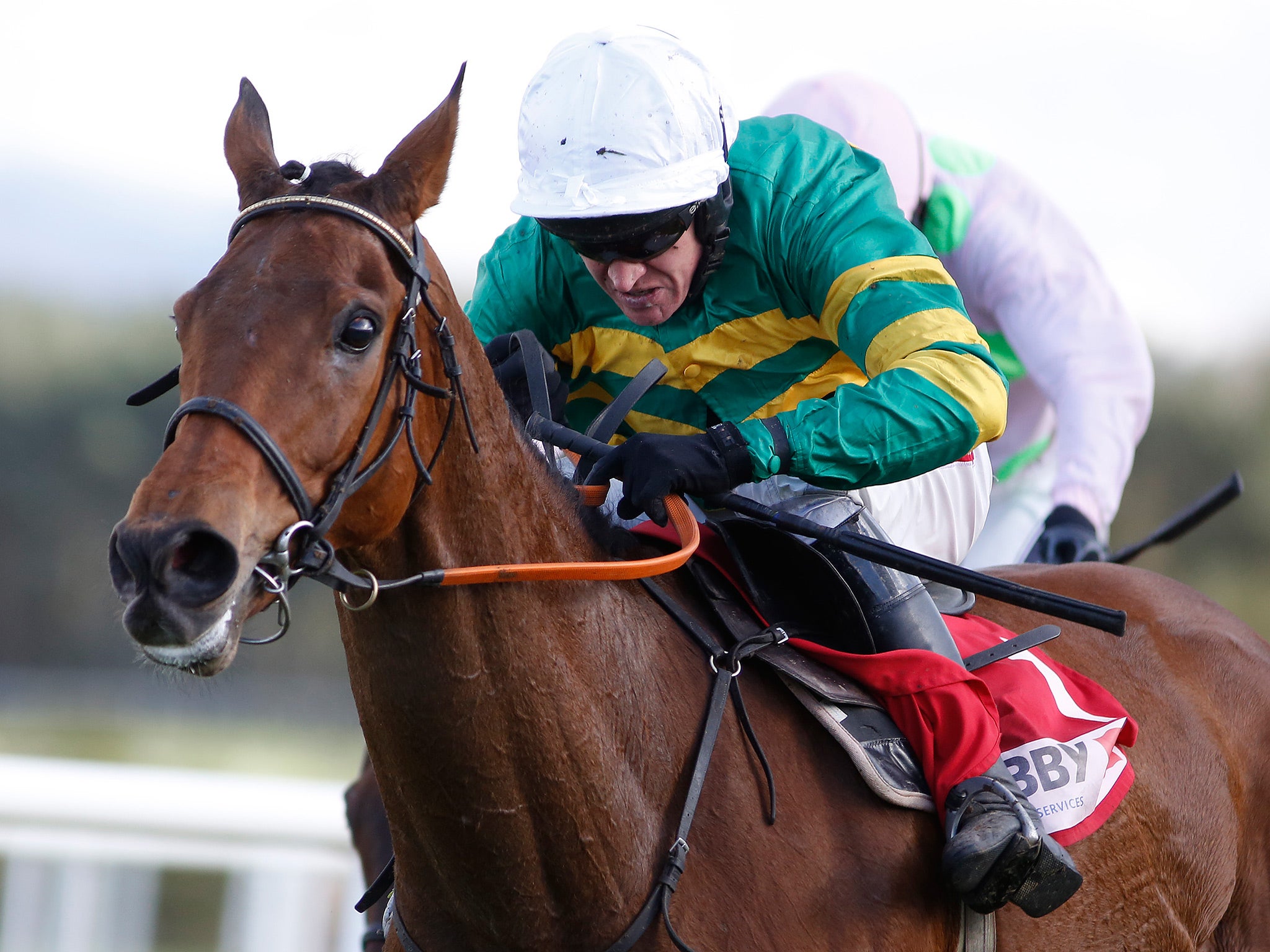 cheltenham 2020 0048