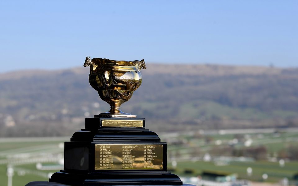 cheltenham 2020 0010