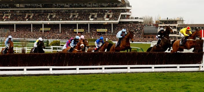 cheltenham 2020 0015