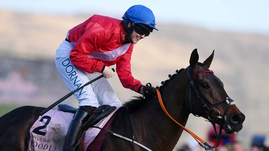 cheltenham 2020 0018