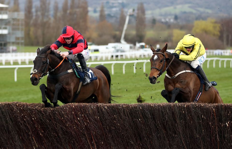 cheltenham 2020 0031